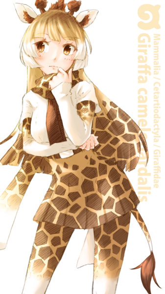 ファイル:Ffbe664a8554fd32.png